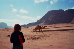 Julie et un chameau
