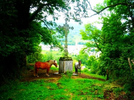 Des chevaulx (qui posent)